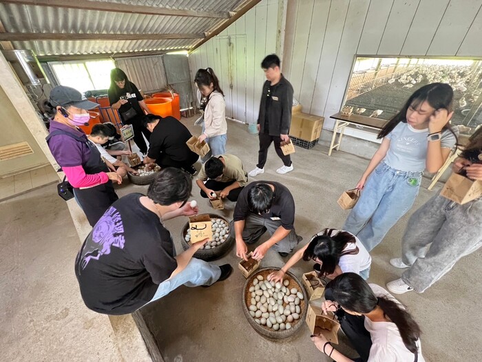 113年10月5日「鴨勒鴨勒」迎新活動─台南鴨莊休閒農場圖片